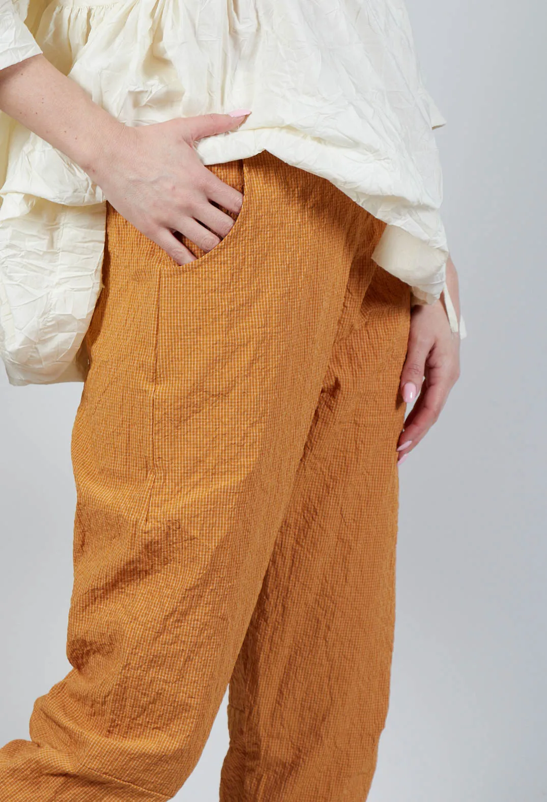 Alicia Q Trousers In Ambra