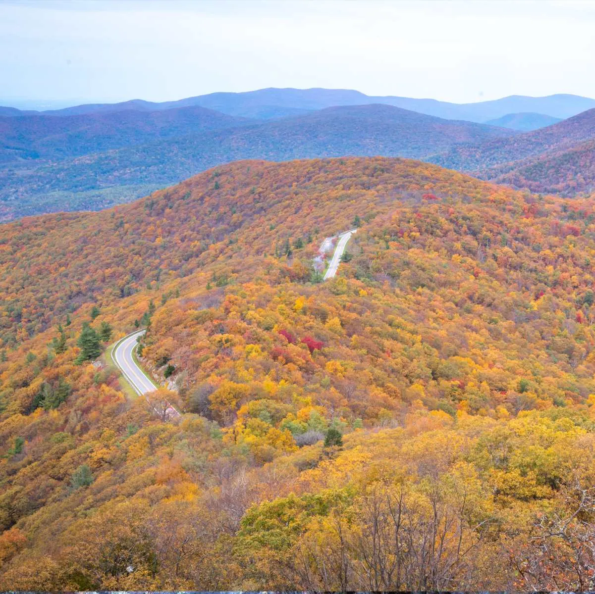 Blue Ridge In The Fall Photographic Coaster