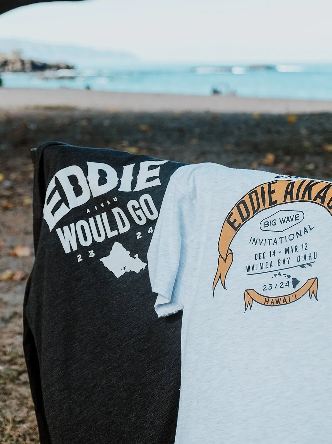 Eddie Would Winter 23/24 Jersey Tee