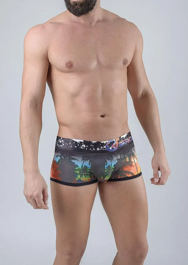 Men Trunks 1763b2