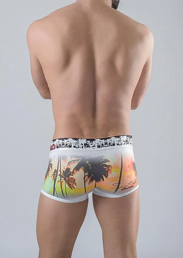 Men Trunks 1763b2