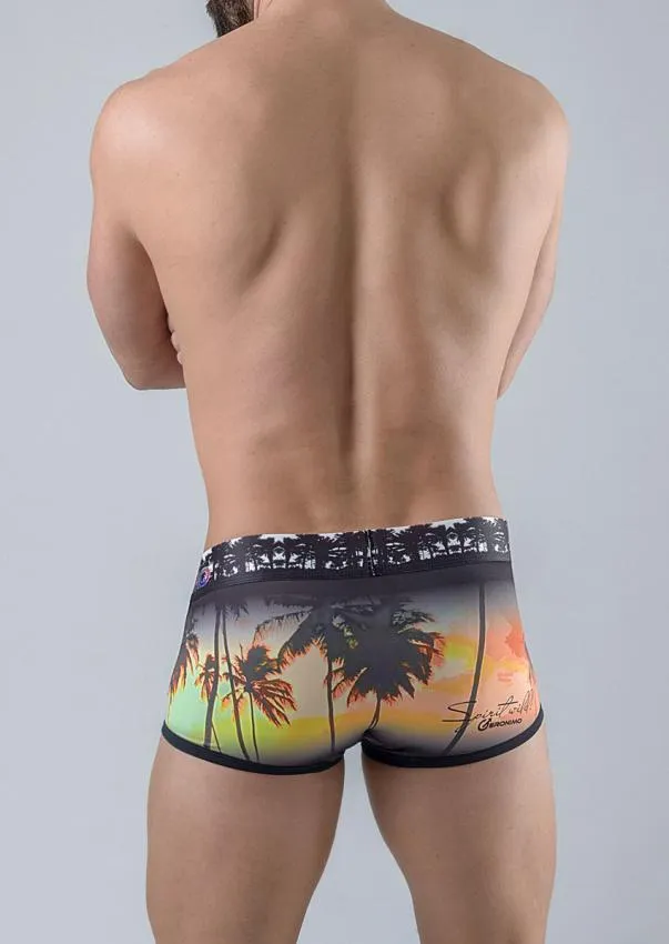 Men Trunks 1763b2