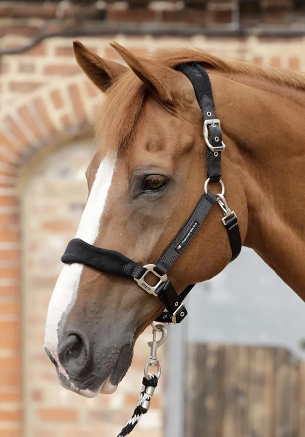 PEI Fleece Padded Headcollar