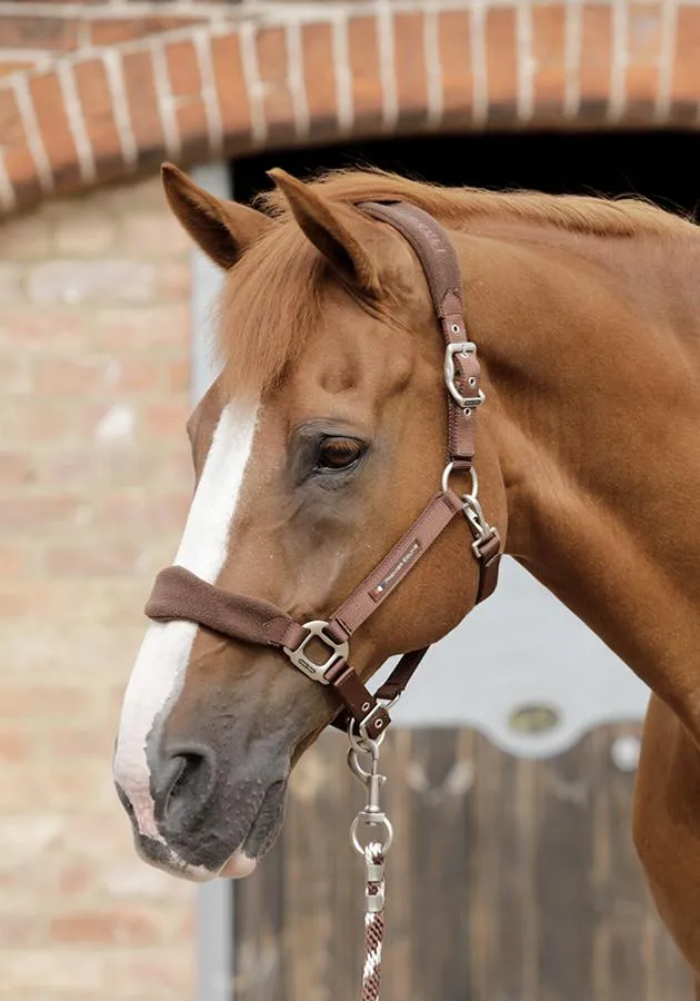 PEI Fleece Padded Headcollar