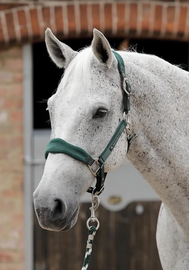 PEI Fleece Padded Headcollar